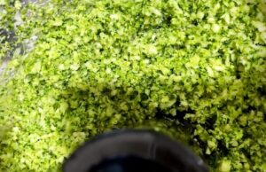 Receta Arroz de Brocoli